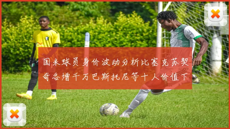 国米球员身价波动分析比塞克苏契奇各增千万巴斯托尼等十人价值下滑